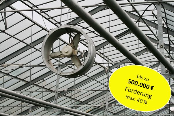 Landwirtschaft: Bis zu 500.000 Euro Förderung für Ventilatoren