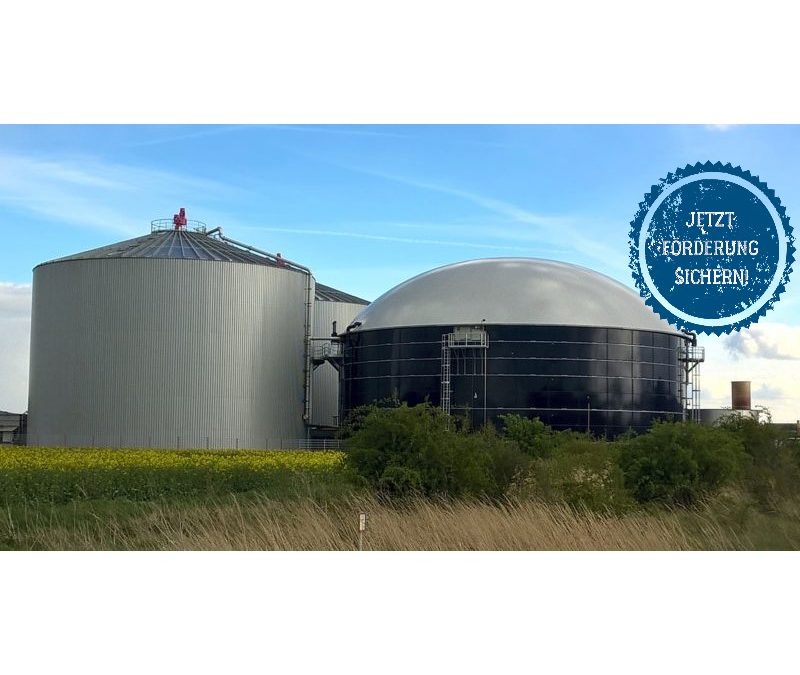 Energie- und Klimafonds: Durchstarten mit Bioenergie