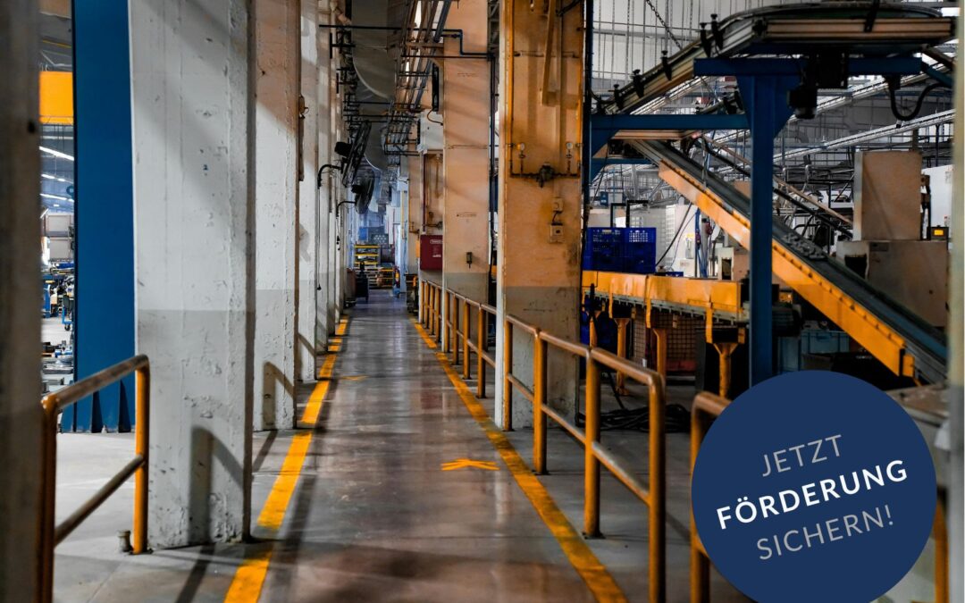 Fördermittel für Betriebsmodernisierung – Maschinen, Hallen und Infrastruktur