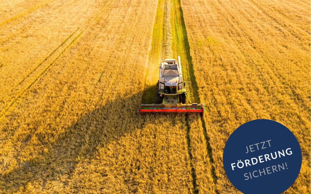Fördermittel für Klimaschutz in der Landwirtschaft – Emissionsminderung und Effizienz
