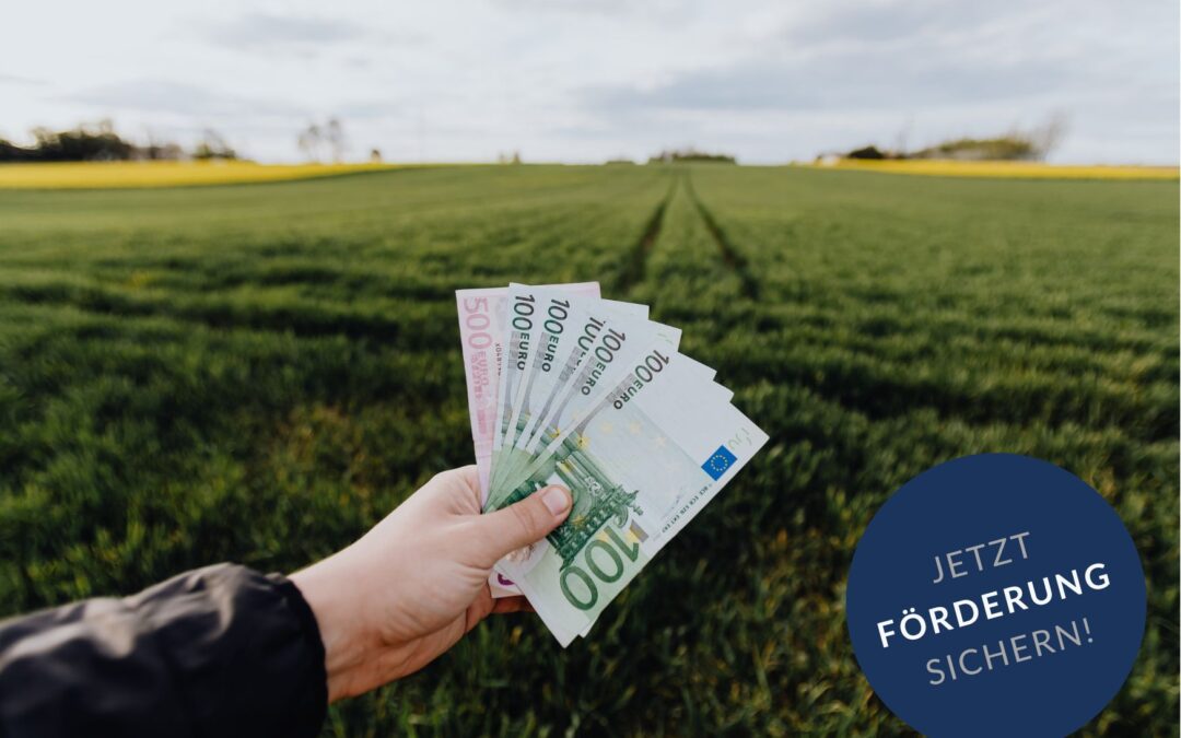 Förderarten in der Landwirtschaft – Zuschuss, Kredit, Prämie und Steuerbonus
