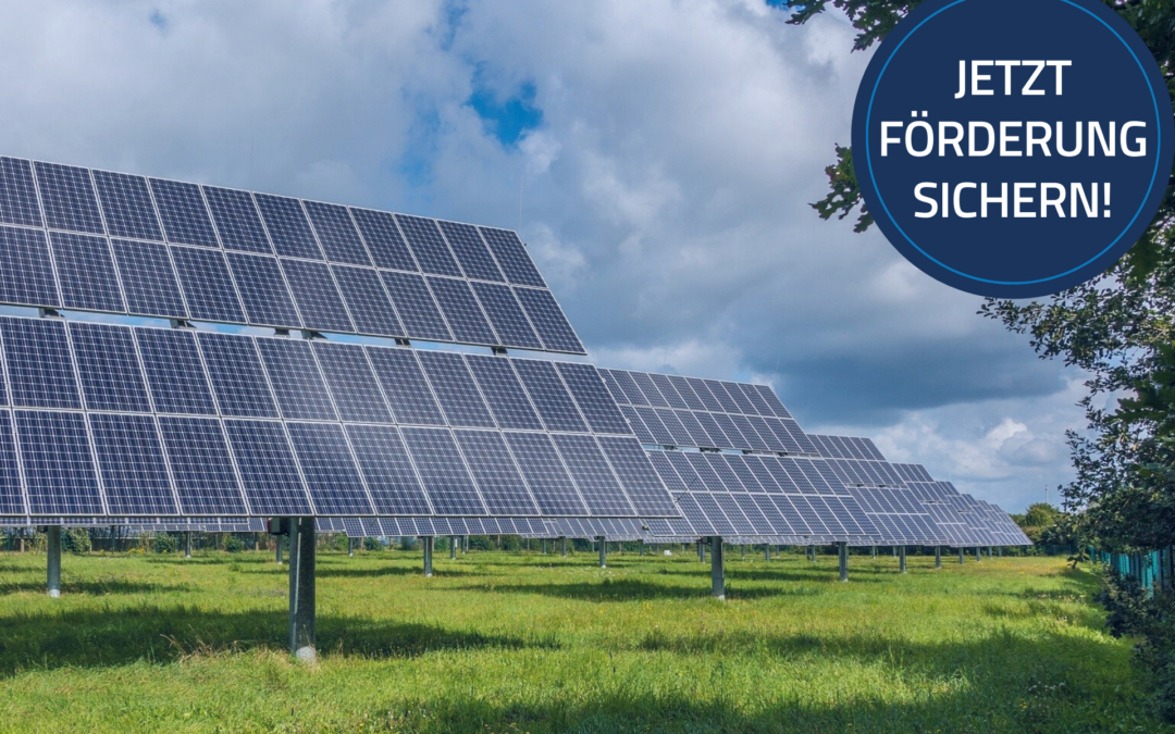 Agri-PV als Chancentreiber