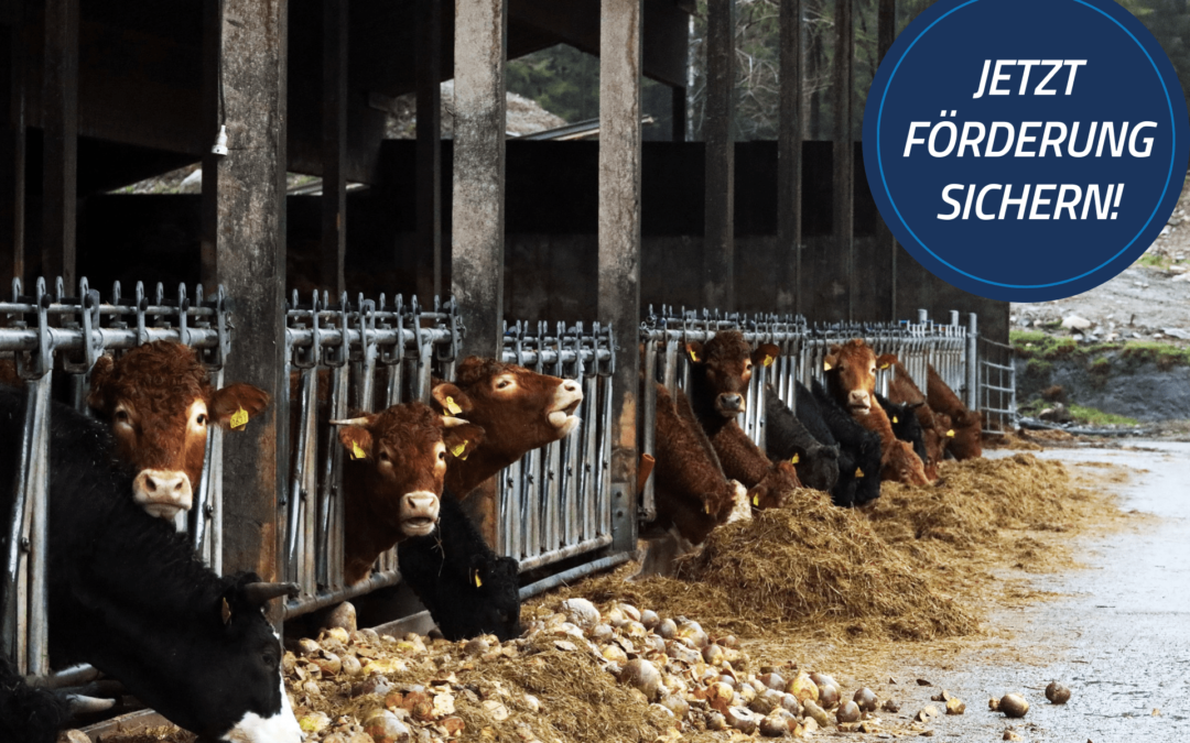 Förderung für die Digitalisierung der Landwirtschaft in Bayern