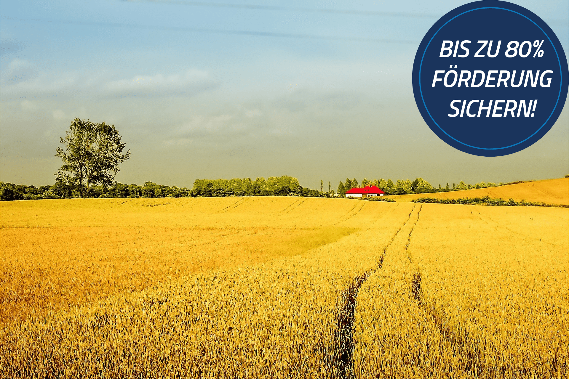 Bis zu 80% Förderung für landwirtschaftliche Energieeffizienz