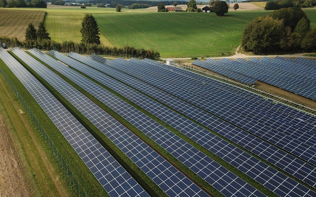 Agri-Photovoltaik in der Landwirtschaft: Nachhaltige Energieerzeugung im Fokus