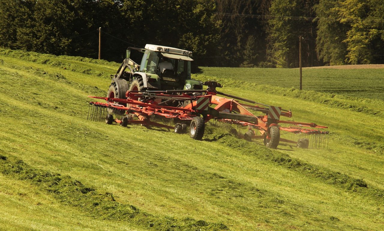 Neue Förderung 11.01.2021 - landwirtschaft-foerderung.de
